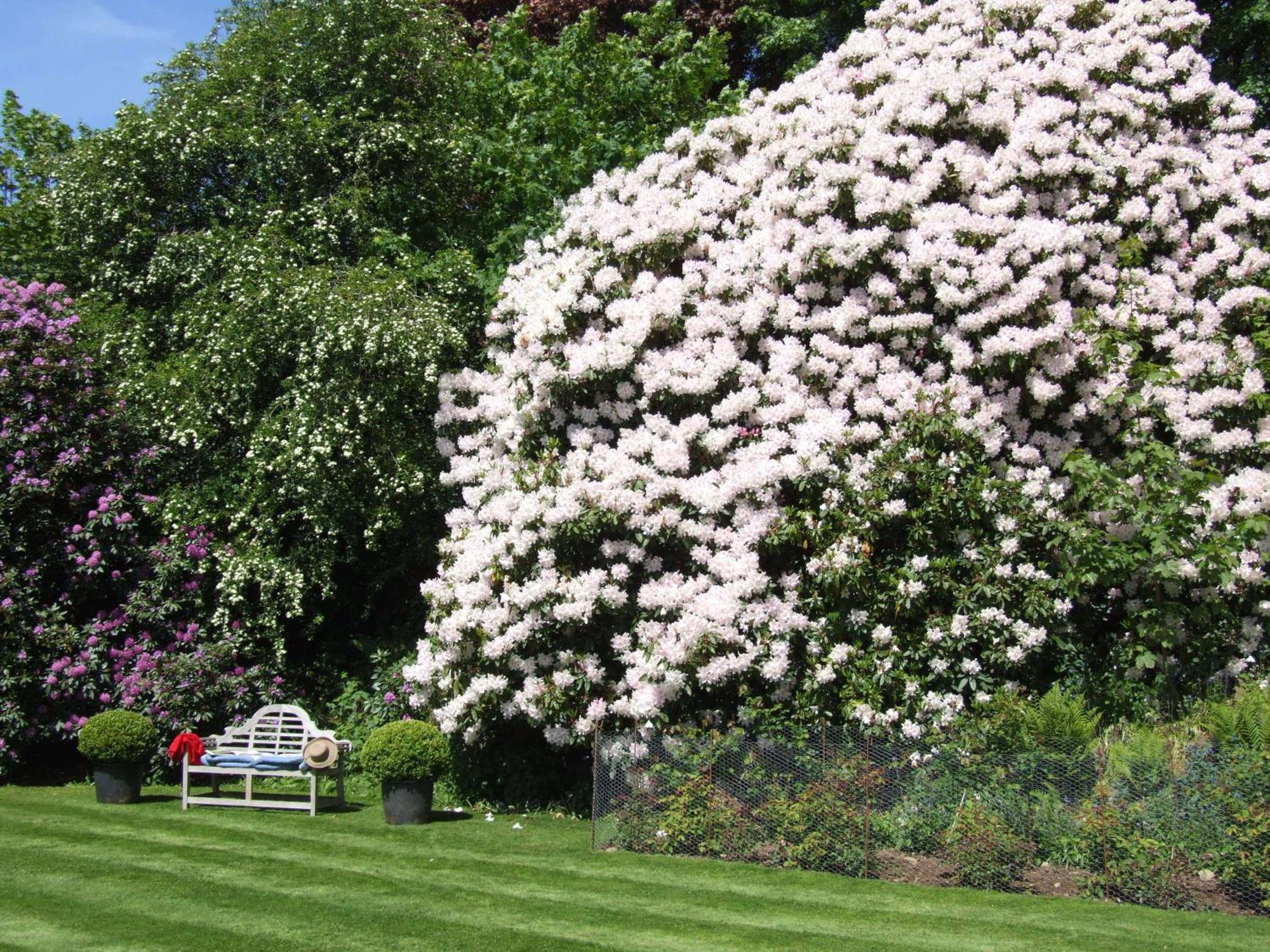 Kinloch House Hotel ブレアゴーリー エクステリア 写真